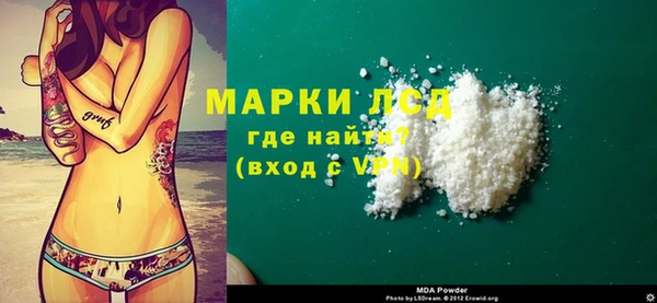 ГАЛЛЮЦИНОГЕННЫЕ ГРИБЫ Карталы