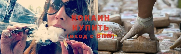 ГАЛЛЮЦИНОГЕННЫЕ ГРИБЫ Карталы