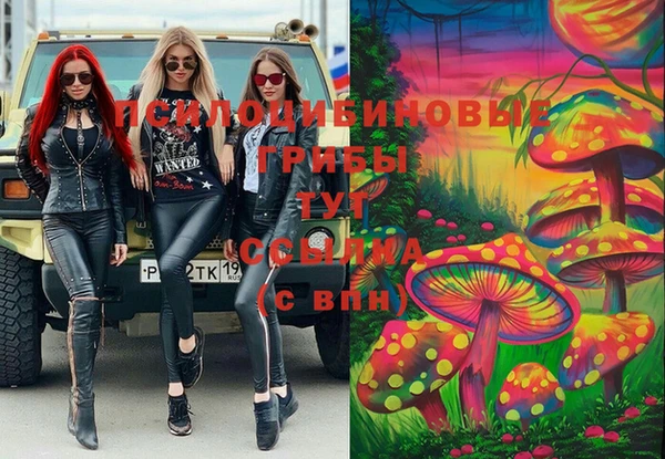 apvp Касимов